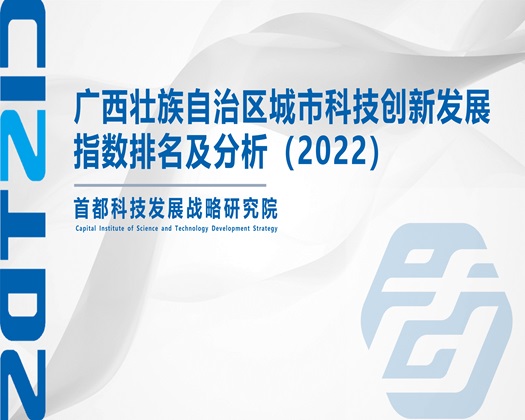 白丝短裙美女被qj【成果发布】广西壮族自治区城市科技创新发展指数排名及分析（2022）